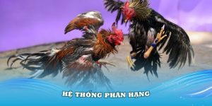 he-thong-phan-hang